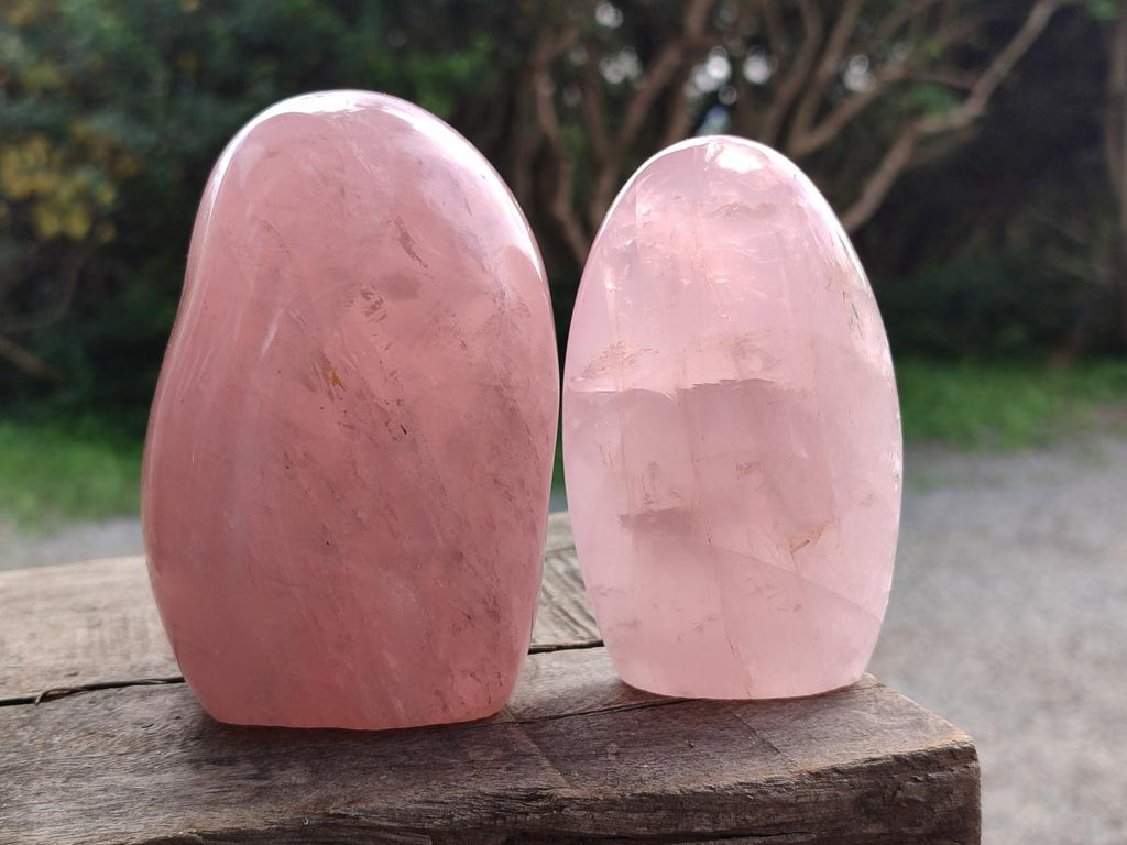 Polished Gemmy Rose Quartz Standing Display Pieces x 2 From Madagascar - Toprock Gemstones and Minerals 