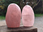 Polished Gemmy Rose Quartz Standing Display Pieces x 2 From Madagascar - Toprock Gemstones and Minerals 