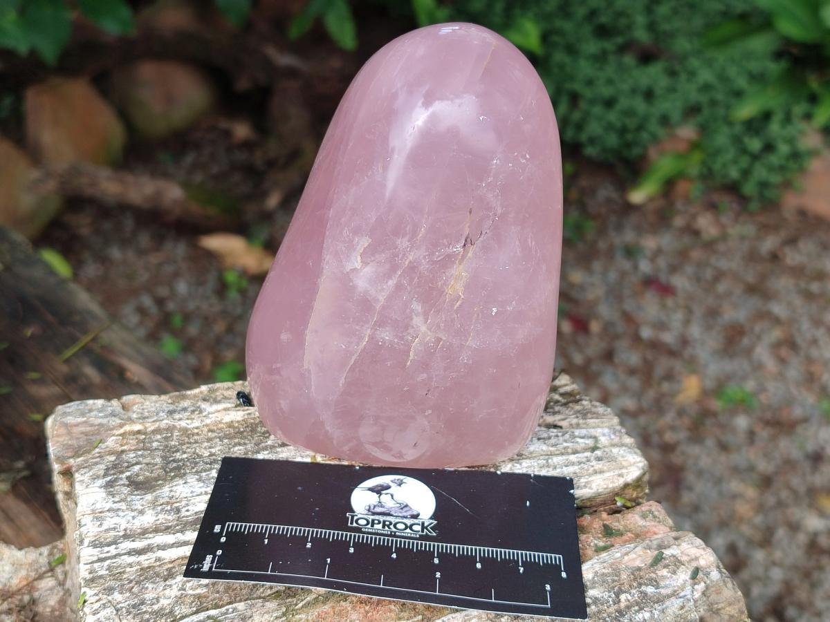 Polished Gemmy Rose Quartz Standing Display Pieces x 2 From Madagascar - Toprock Gemstones and Minerals 