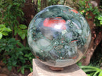 Polished Giant Bloodstone Sphere x 1 From Swaziland - Toprock Gemstones and Minerals 