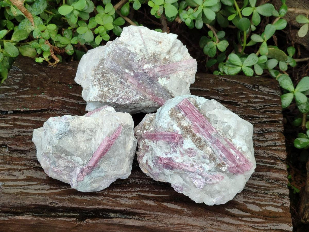 Natural Pink Rubellite Tourmaline Specimens x 3 From Karibib, Namibia - Toprock Gemstones and Minerals 
