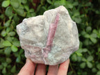 Natural Pink Rubellite Tourmaline Specimens x 3 From Karibib, Namibia - Toprock Gemstones and Minerals 