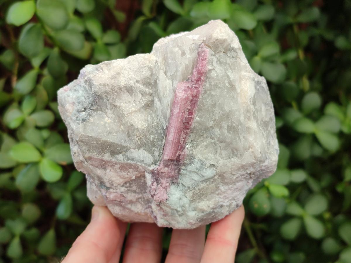 Natural Pink Rubellite Tourmaline Specimens x 3 From Karibib, Namibia - Toprock Gemstones and Minerals 