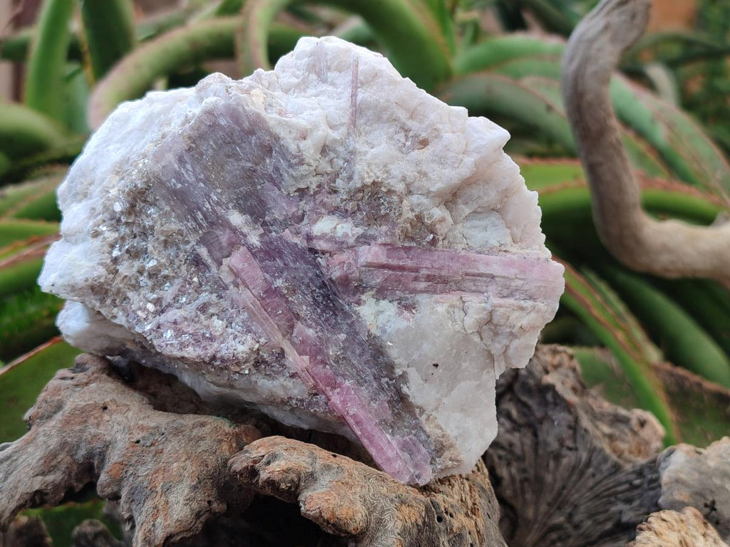 Natural Pink Rubellite Tourmaline Specimens x 3 From Karibib, Namibia - Toprock Gemstones and Minerals 