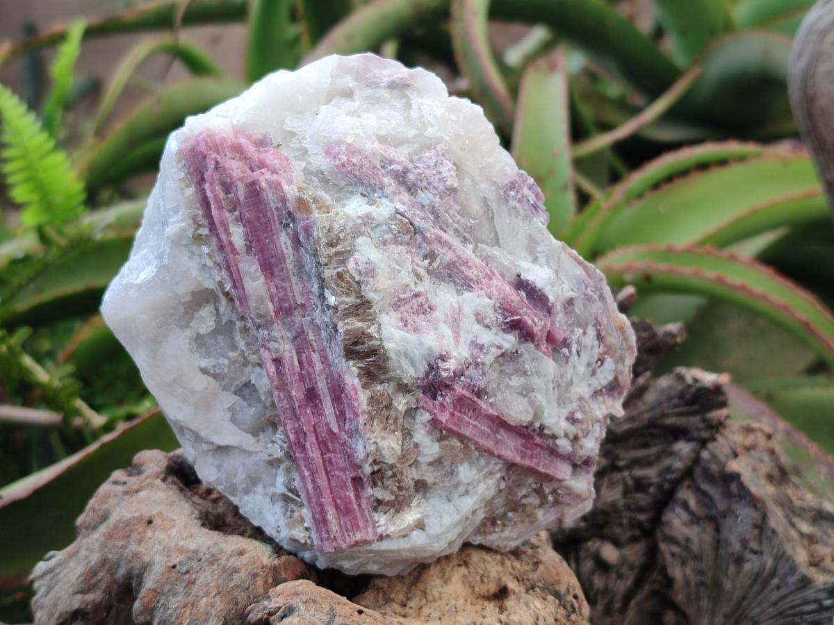 Natural Pink Rubellite Tourmaline Specimens x 3 From Karibib, Namibia - Toprock Gemstones and Minerals 