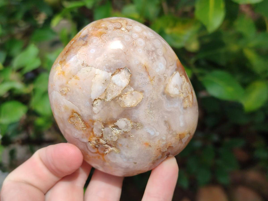 Polished Flower Agate Standing Display Pieces x 6 From Antsahalova, Madagascar - Toprock Gemstones and Minerals 