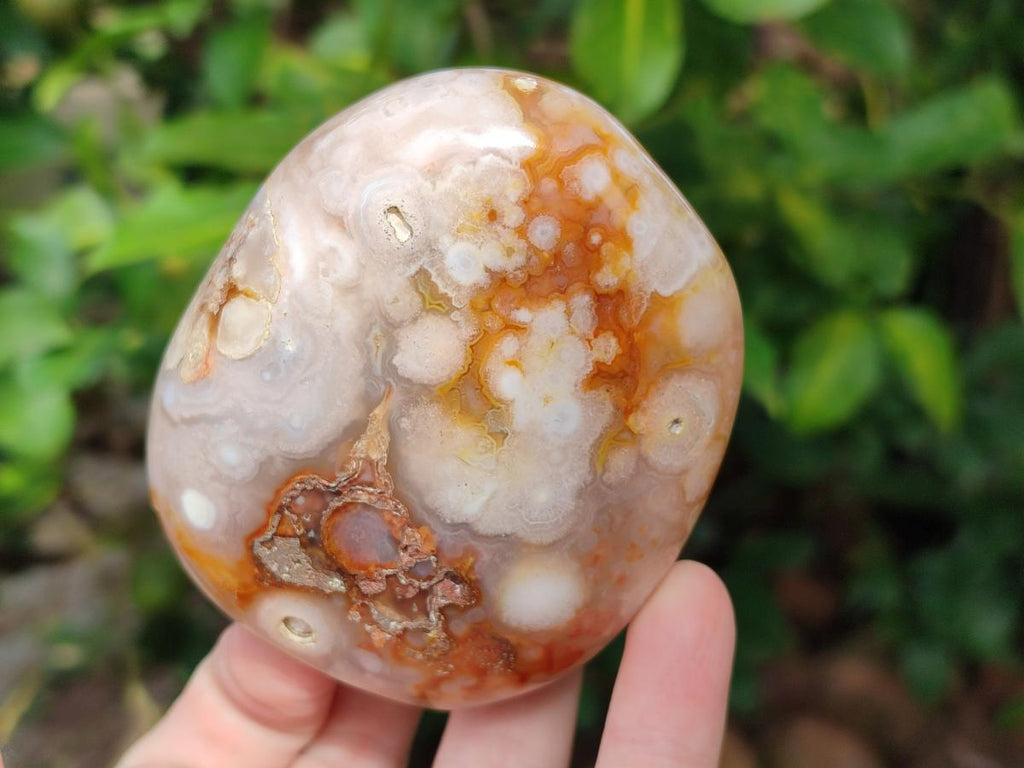 Polished Flower Agate Standing Display Pieces x 6 From Antsahalova, Madagascar - Toprock Gemstones and Minerals 