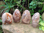 Polished Flower Agate Standing Display Pieces x 6 From Antsahalova, Madagascar - Toprock Gemstones and Minerals 