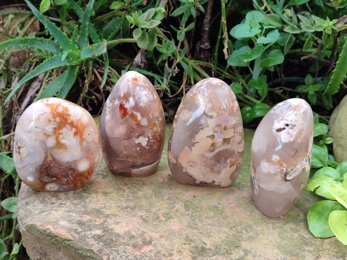 Polished Flower Agate Standing Display Pieces x 6 From Antsahalova, Madagascar - Toprock Gemstones and Minerals 