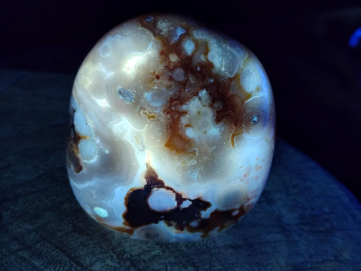 Polished Flower Agate Standing Display Pieces x 6 From Antsahalova, Madagascar - Toprock Gemstones and Minerals 