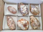 Polished Flower Agate Standing Display Pieces x 6 From Antsahalova, Madagascar - Toprock Gemstones and Minerals 