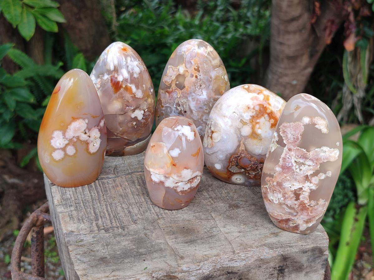 Polished Flower Agate Standing Display Pieces x 6 From Antsahalova, Madagascar - Toprock Gemstones and Minerals 