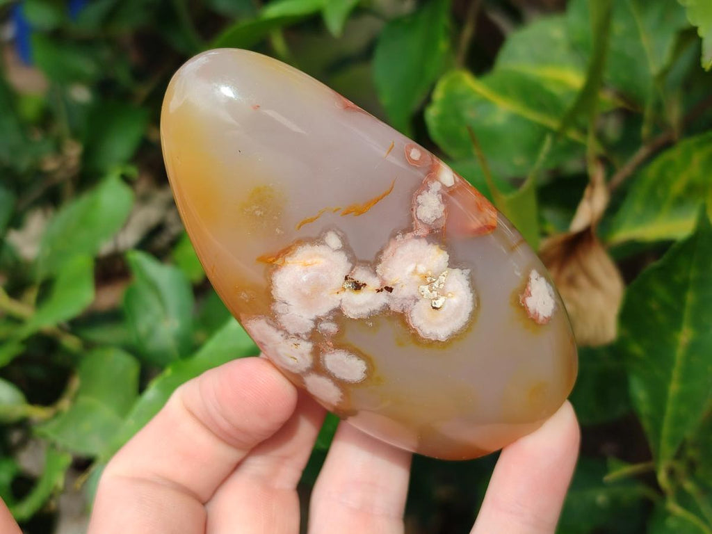 Polished Flower Agate Standing Display Pieces x 6 From Antsahalova, Madagascar - Toprock Gemstones and Minerals 