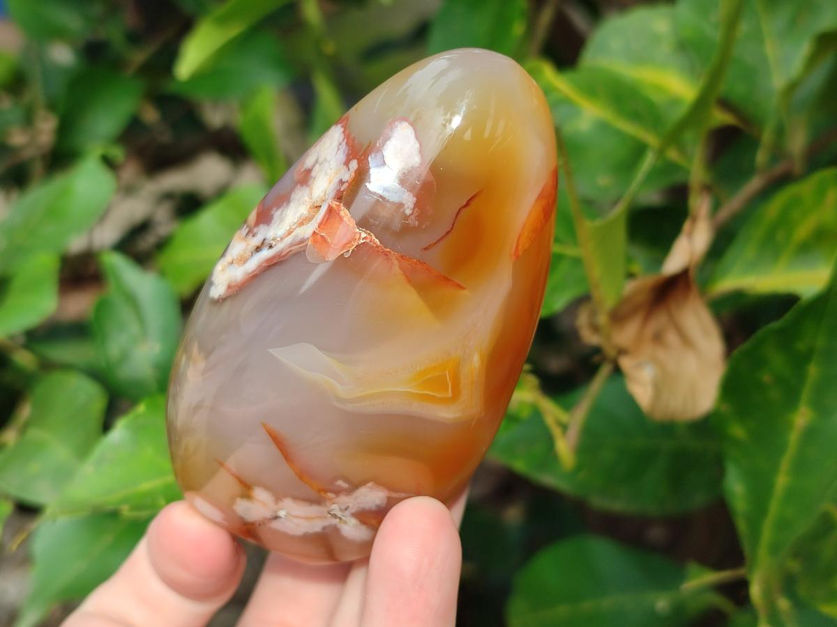Polished Flower Agate Standing Display Pieces x 6 From Antsahalova, Madagascar - Toprock Gemstones and Minerals 