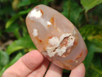 Polished Flower Agate Standing Display Pieces x 6 From Antsahalova, Madagascar - Toprock Gemstones and Minerals 