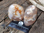Polished Flower Agate Standing Display Pieces x 6 From Antsahalova, Madagascar - Toprock Gemstones and Minerals 