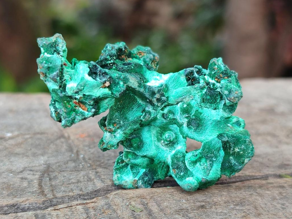 Natural Silky Malachite Specimens x 20 From Kasompe, Congo