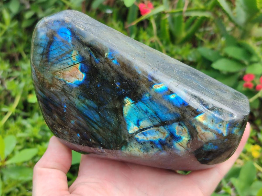 Polished Labradorite Standing Display Pieces x 2 From Madagascar - Toprock Gemstones and Minerals 