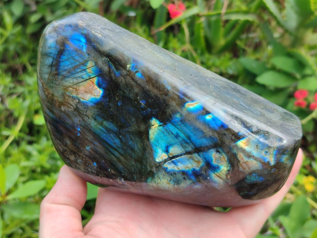 Polished Labradorite Standing Display Pieces x 2 From Madagascar - Toprock Gemstones and Minerals 