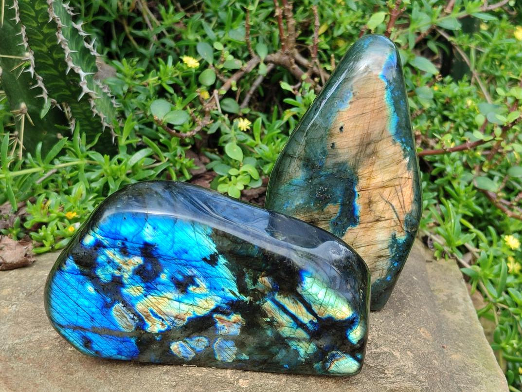Polished Labradorite Standing Display Pieces x 2 From Madagascar - Toprock Gemstones and Minerals 