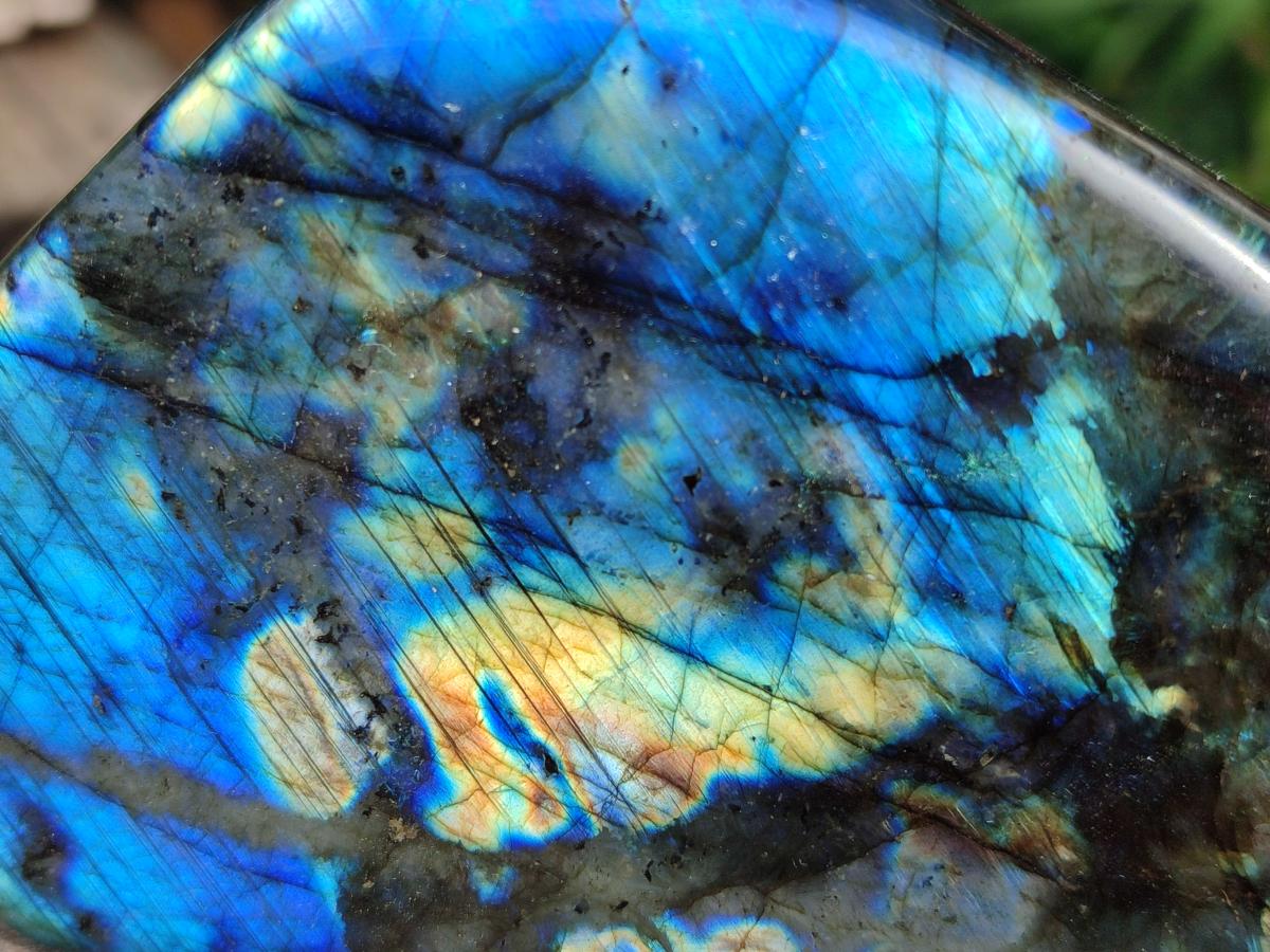Polished Labradorite Standing Display Pieces x 2 From Madagascar - Toprock Gemstones and Minerals 
