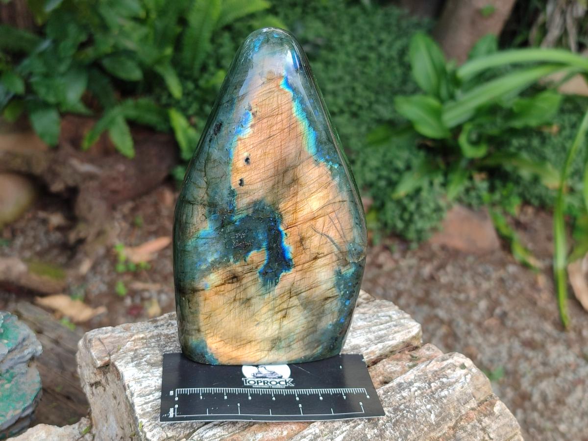 Polished Labradorite Standing Display Pieces x 2 From Madagascar - Toprock Gemstones and Minerals 