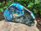 Polished Labradorite Standing Display Pieces x 2 From Madagascar - Toprock Gemstones and Minerals 