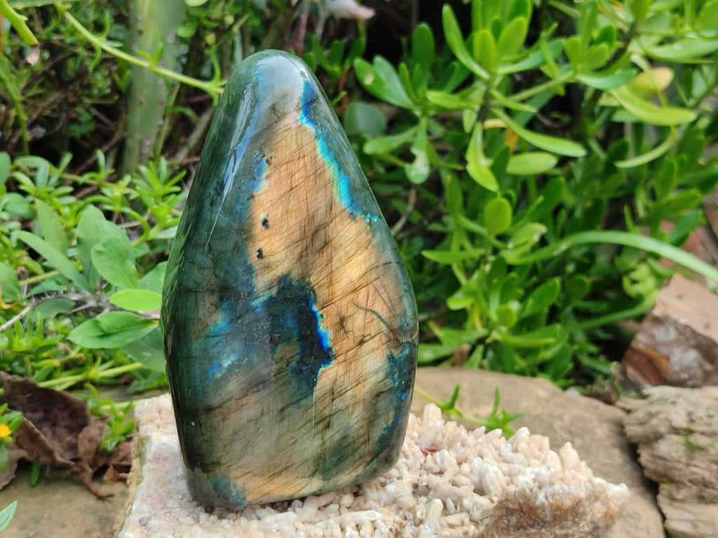 Polished Labradorite Standing Display Pieces x 2 From Madagascar - Toprock Gemstones and Minerals 