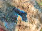Polished Labradorite Standing Display Pieces x 2 From Madagascar - Toprock Gemstones and Minerals 