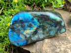 Polished Labradorite Standing Display Pieces x 2 From Madagascar - Toprock Gemstones and Minerals 