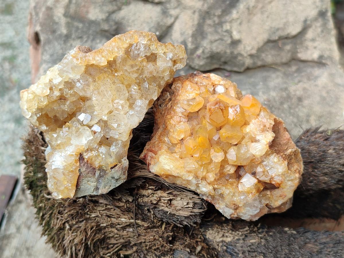 Natural Golden Limonite Quartz Clusters x 12 From Solwezi, Zambia - Toprock Gemstones and Minerals 