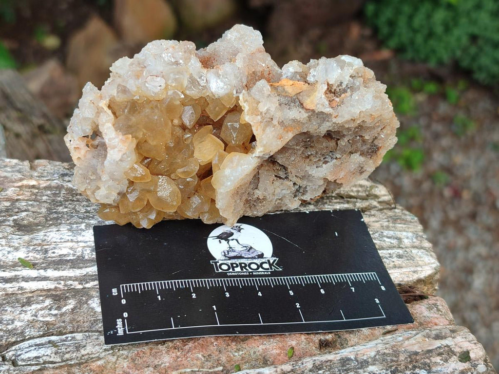 Natural Golden Limonite Quartz Clusters x 12 From Solwezi, Zambia - Toprock Gemstones and Minerals 