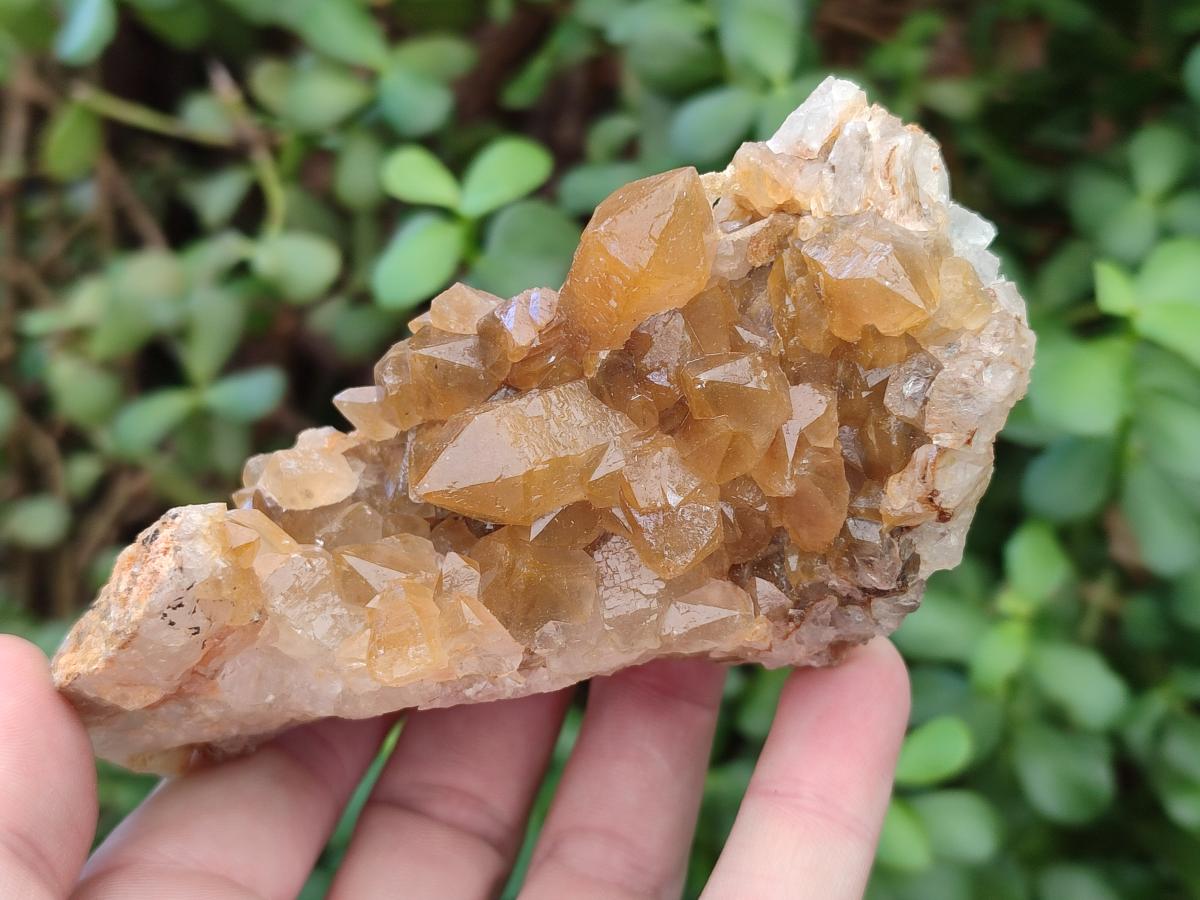 Natural Golden Limonite Quartz Clusters x 12 From Solwezi, Zambia - Toprock Gemstones and Minerals 