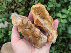 Natural Golden Limonite Quartz Clusters x 12 From Solwezi, Zambia - Toprock Gemstones and Minerals 