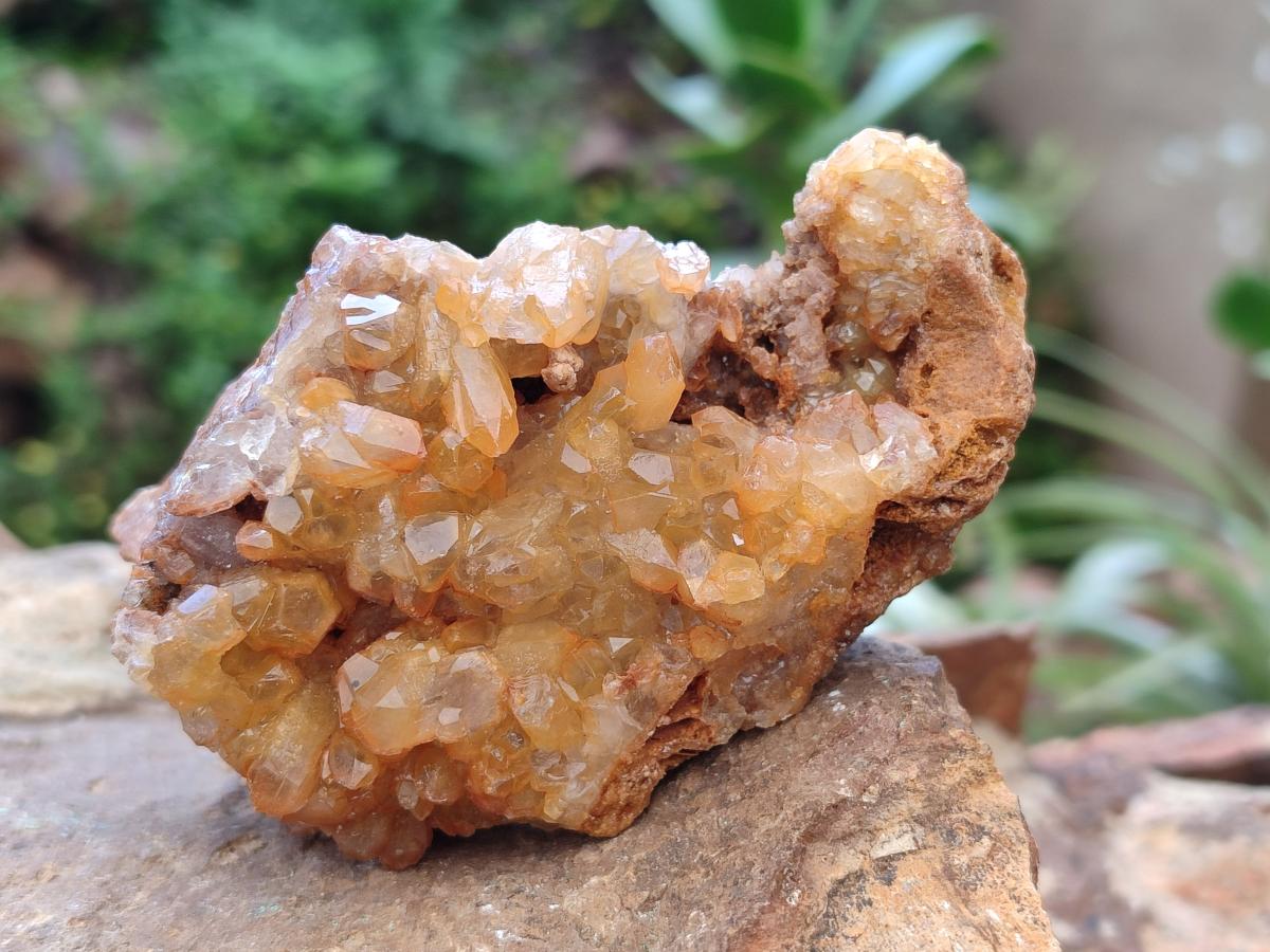 Natural Golden Limonite Quartz Clusters x 12 From Solwezi, Zambia - Toprock Gemstones and Minerals 