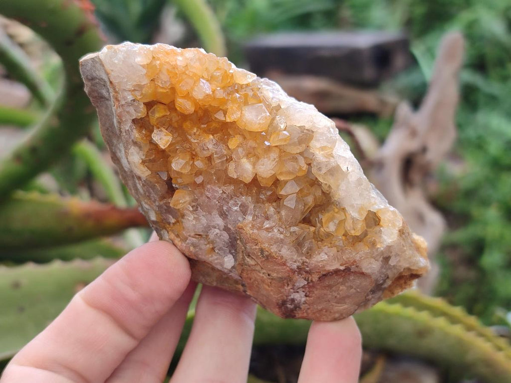 Natural Golden Limonite Quartz Clusters x 12 From Solwezi, Zambia - Toprock Gemstones and Minerals 