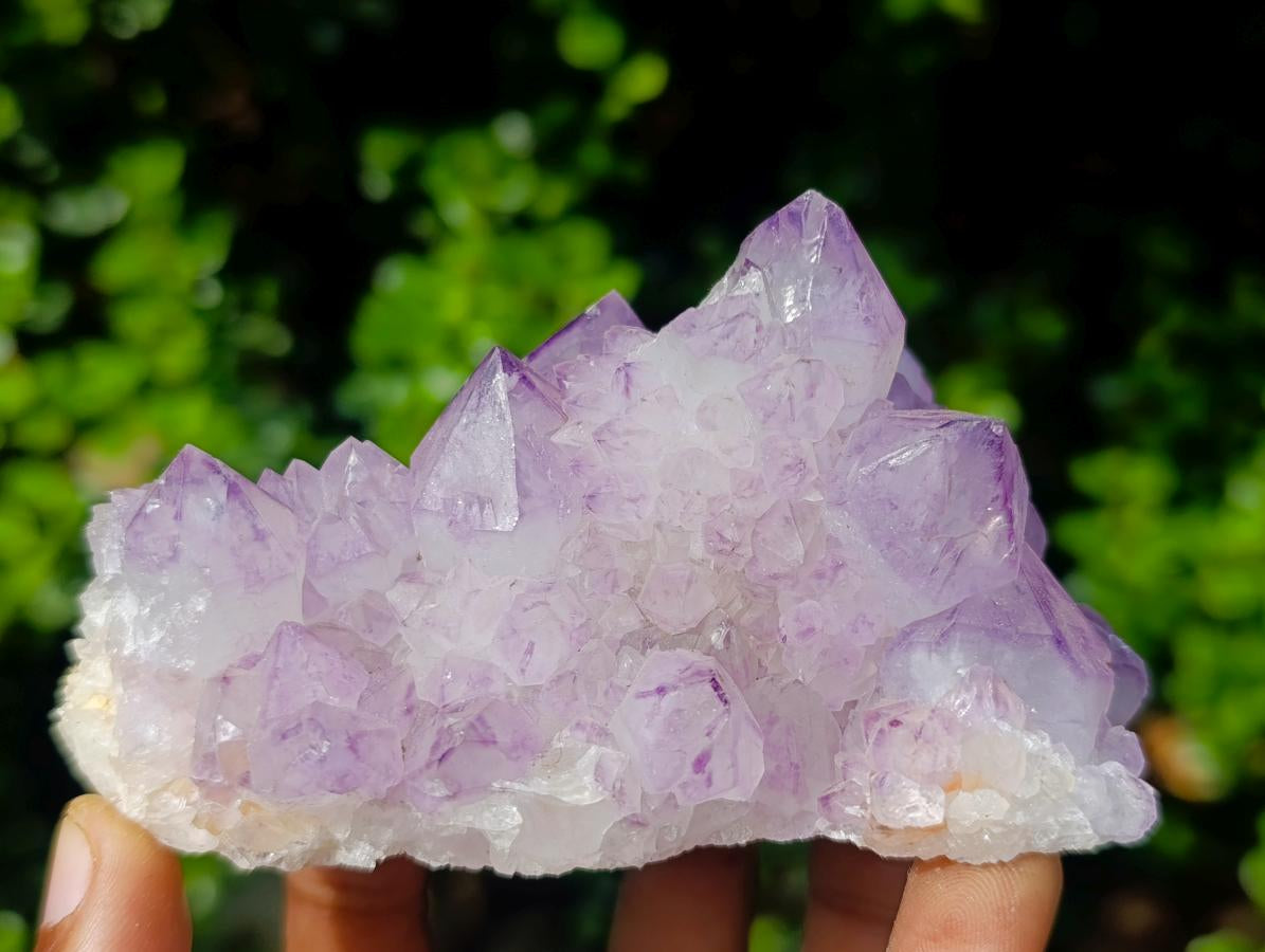 Natural Sunburst Spirit Amethyst Crystals and Clusters x 6 From Boekenhouthoek, South Africa