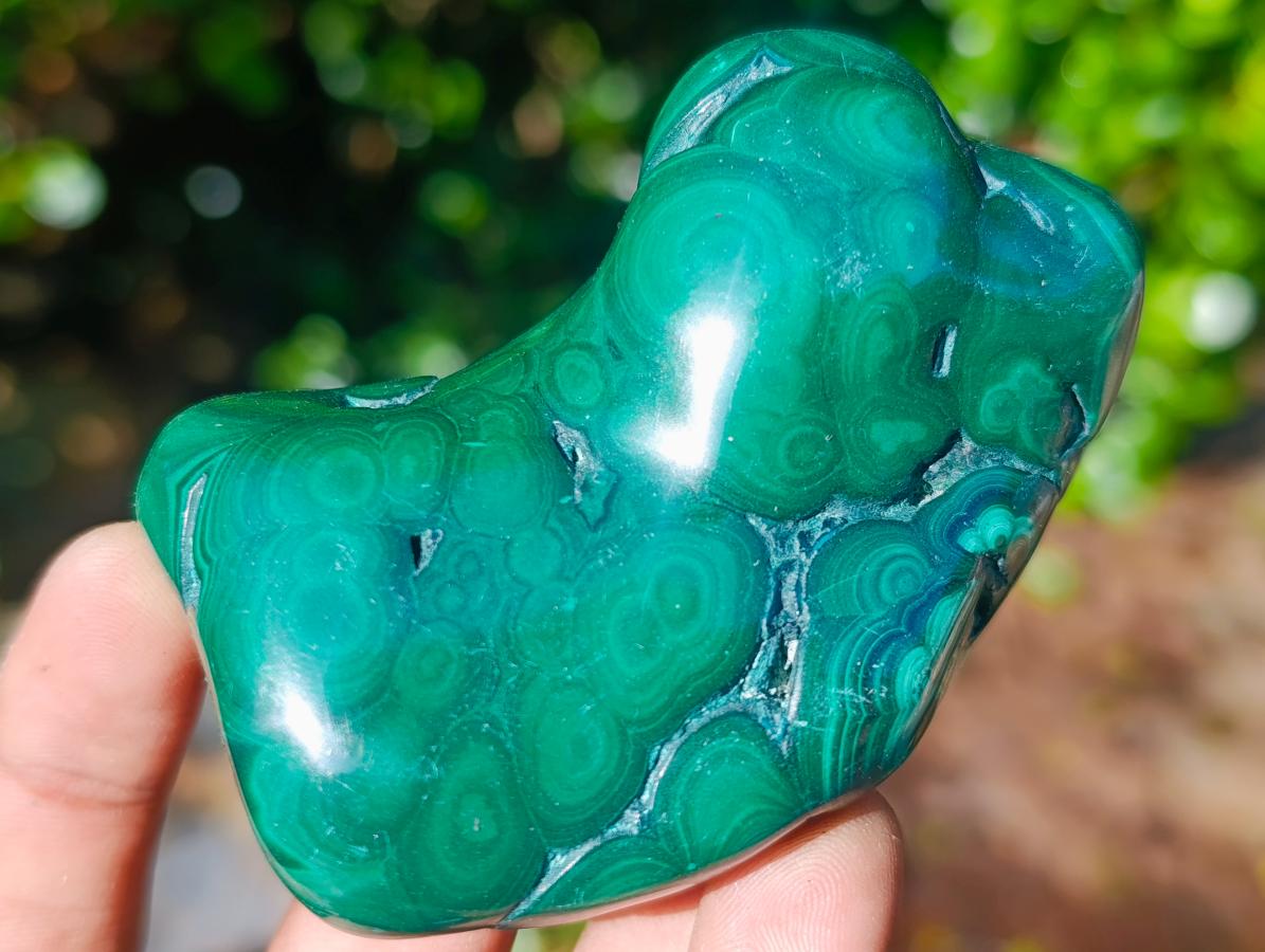 Polished Flower Banded Malachite Free Forms x 12 From Congo - Toprock Gemstones and Minerals 