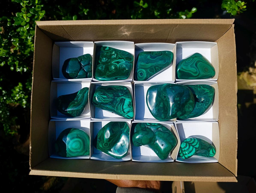 Polished Flower Banded Malachite Free Forms x 12 From Congo - Toprock Gemstones and Minerals 