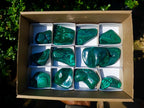 Polished Flower Banded Malachite Free Forms x 12 From Congo - Toprock Gemstones and Minerals 