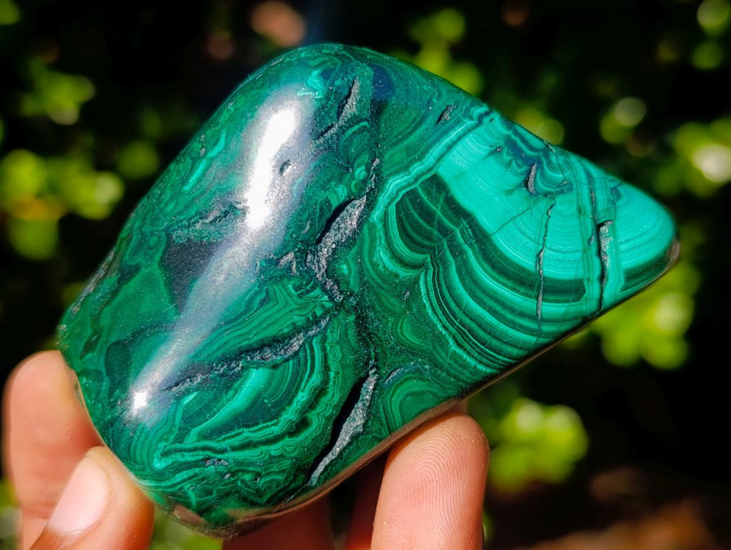 Polished Flower Banded Malachite Free Forms x 12 From Congo - Toprock Gemstones and Minerals 