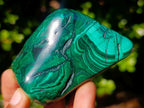 Polished Flower Banded Malachite Free Forms x 12 From Congo - Toprock Gemstones and Minerals 