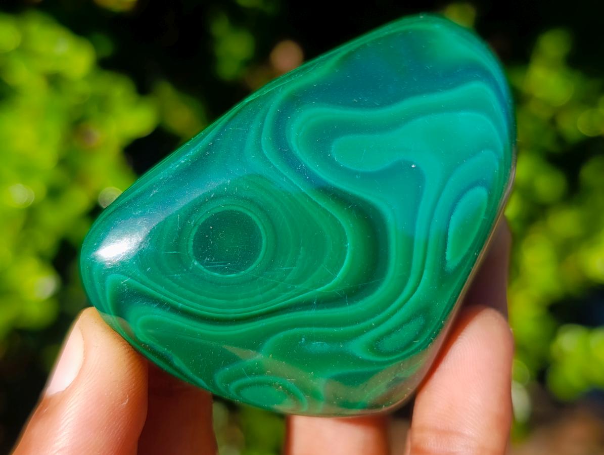 Polished Flower Banded Malachite Free Forms x 12 From Congo - Toprock Gemstones and Minerals 