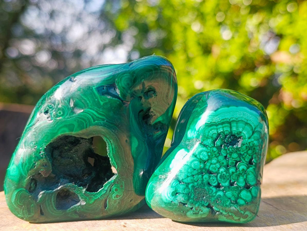 Polished Flower Banded Malachite Free Forms x 12 From Congo - Toprock Gemstones and Minerals 