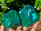 Polished Flower Banded Malachite Free Forms x 12 From Congo - Toprock Gemstones and Minerals 