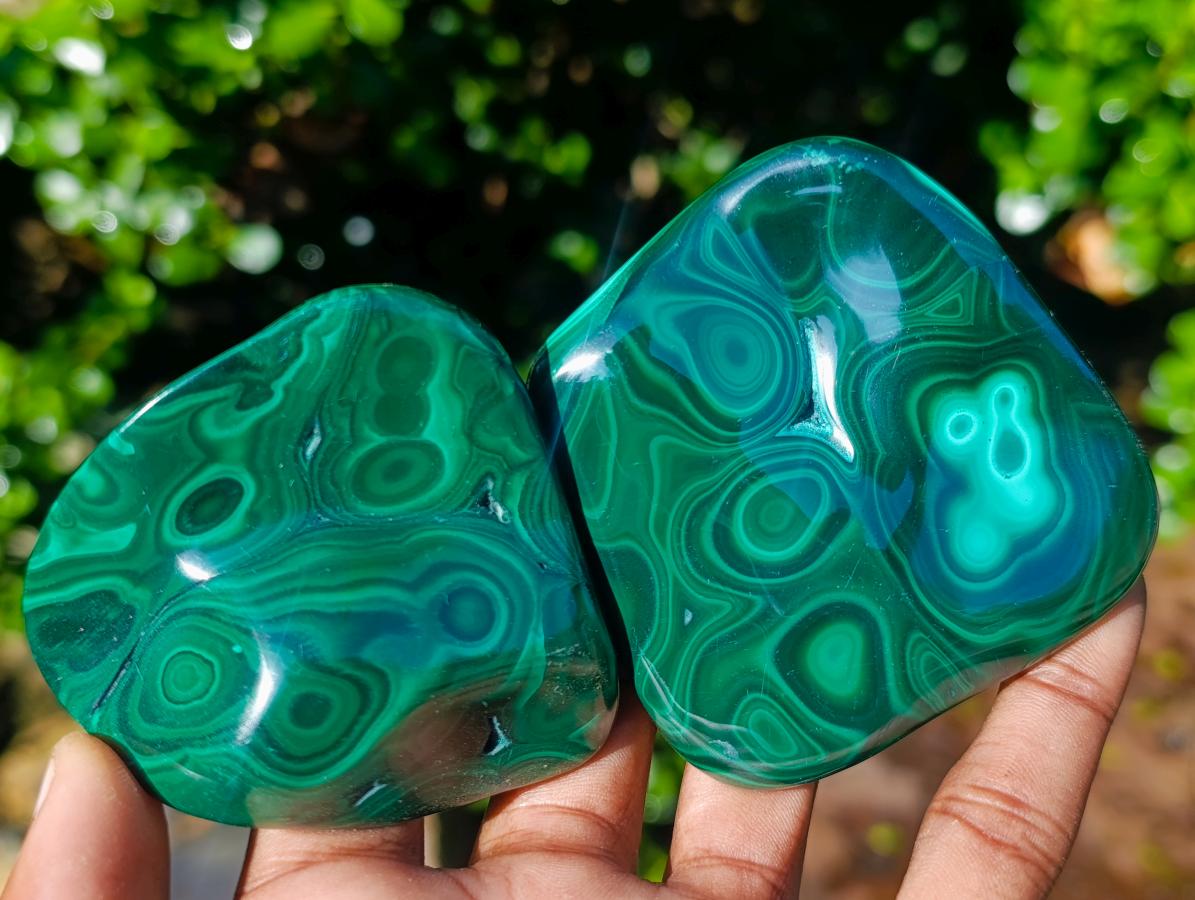 Polished Flower Banded Malachite Free Forms x 12 From Congo - Toprock Gemstones and Minerals 