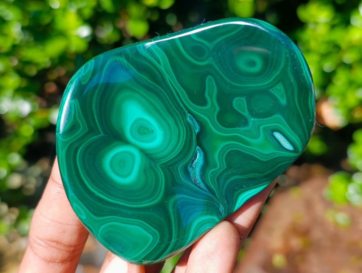 Polished Flower Banded Malachite Free Forms x 12 From Congo - Toprock Gemstones and Minerals 