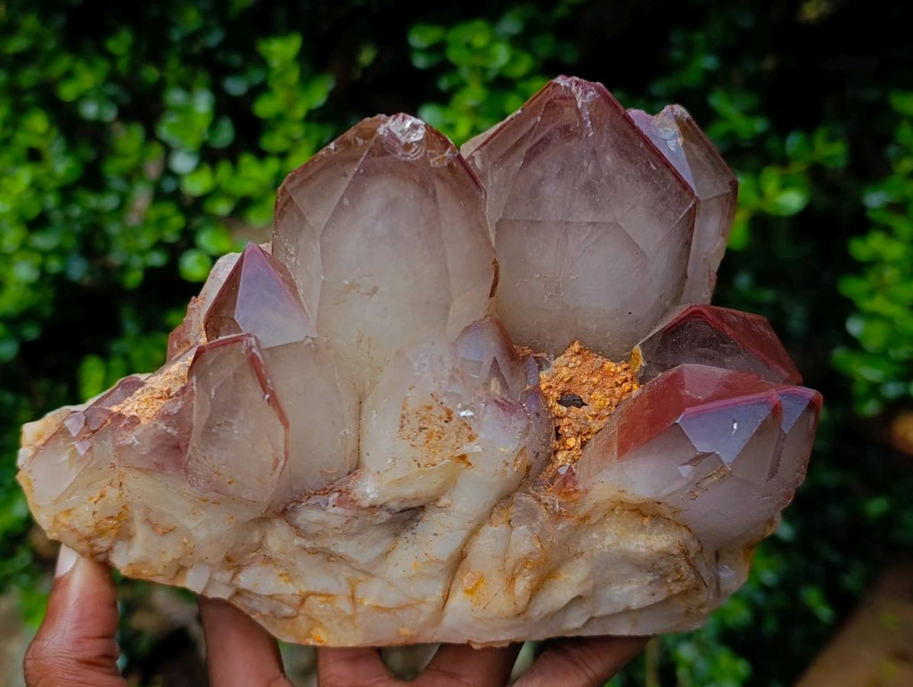 Natural Large Red Hematoid Quartz Cluster x 1 From Karoi, Zimbabwe - Toprock Gemstones and Minerals 