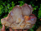 Natural Large Red Hematoid Quartz Cluster x 1 From Karoi, Zimbabwe - Toprock Gemstones and Minerals 