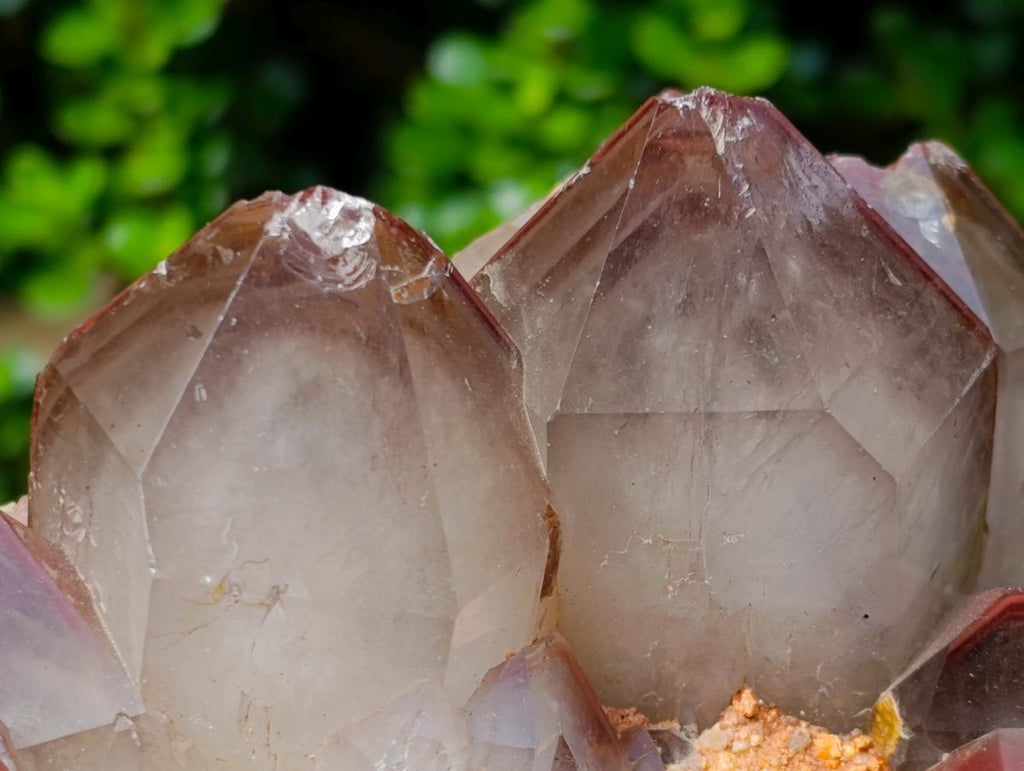 Natural Large Red Hematoid Quartz Cluster x 1 From Karoi, Zimbabwe - Toprock Gemstones and Minerals 